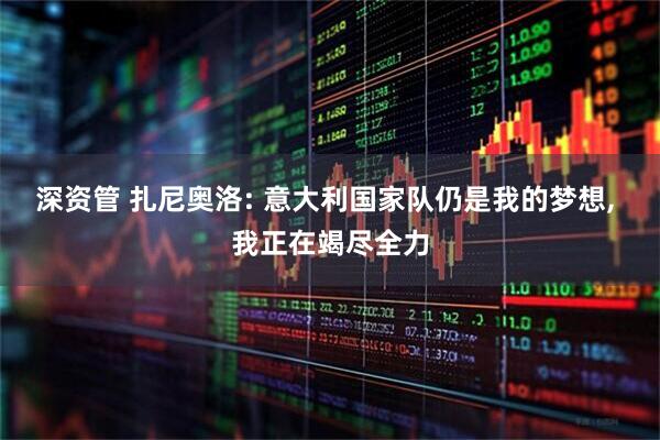 深资管 扎尼奥洛: 意大利国家队仍是我的梦想, 我正在竭尽全力